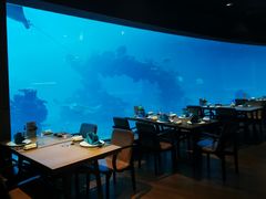 -海棠湾洲际-涛·海底餐厅·美人鱼·自助餐·海底隧道