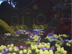 iphone_upload_pic-迎泽公园