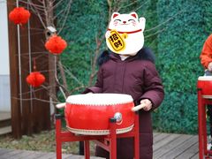 -前小桔亲子创意农场·草莓采摘·露营烧烤