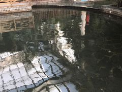 -龙达温泉生态城