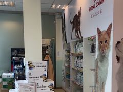 -瑞派申生动物医院·24H夜诊·国际动物医疗中心·骨外科(吴中路店)