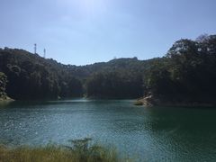 -广州市流溪河国家森林公园
