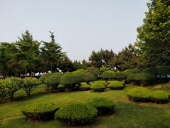 -日照灯塔风景区