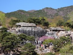 -北京西山国家森林公园