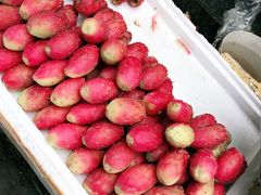 餐饮设施-泸定桥景区