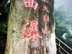 -东天目山风景区