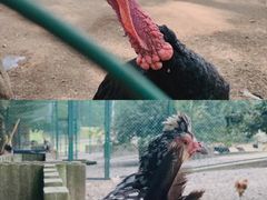 -南京金牛湖风景区