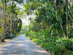 -中国科学院西双版纳热带植物园