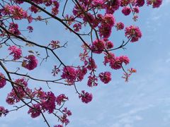 -白石龙音乐公园