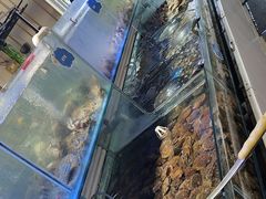 -四海蒸鲜蒸汽海鲜自助(北戴河店)
