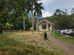 景点-广州市流溪河国家森林公园