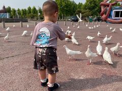 -泉城欧乐堡海洋极地世界