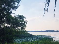 -丁香湖公园