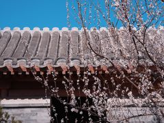 -三里河公园