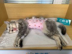 -美迦爱-牙专科·兔科·骨科诊疗中心(北苑店)