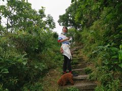 -杭州半山国家森林公园