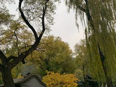 -晋祠公园