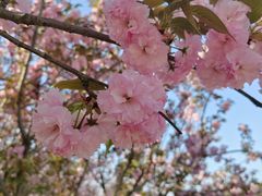 -杏花村文化旅游区