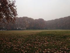 黄河迎宾馆-河南省黄河迎宾馆