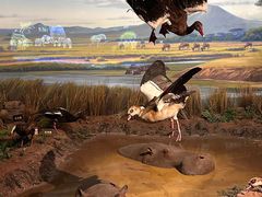 -陕西自然博物馆