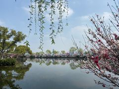 -无锡蠡湖国家湿地公园-蠡园