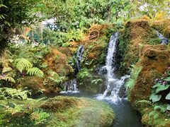 -Chom Cafe and Restaurant