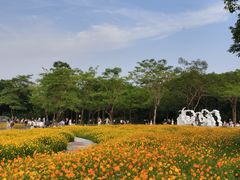 -海珠湖公园