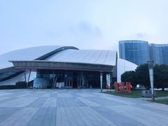 -合肥大剧院