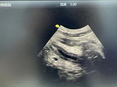 -拜鲁耶动物诊疗中心·宠家动物医院