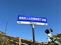 -杨梅坑