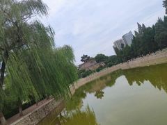 -河南牧业经济学院(龙子湖校区)