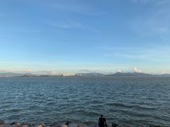 -深圳湾公园(南山区)
