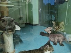 -沐沐家宠物(成寿寺店)