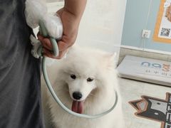 -纳吉亚猫专科动物医院·北北分院