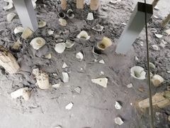 -仪征博物馆