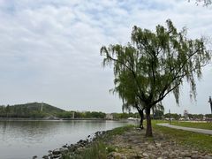 -上海月湖雕塑公园