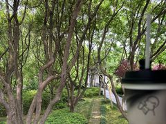 -蠡湖中央公园