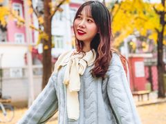 -三里屯东五街银杏大道