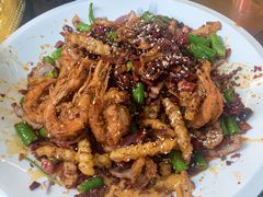 -龙翔山庄雷鸡肉(青城后山泰安古镇店)