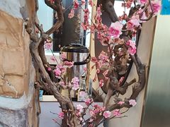 -上地宴·中关村的会客厅(清河高铁站店)