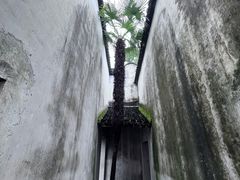 -乌镇东栅景区