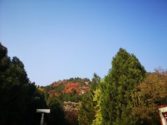 -府君山公园