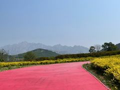 -西海岸生态观光园