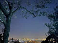 -惠山国家森林公园