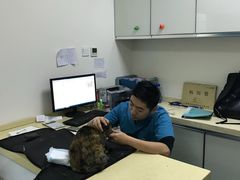 -美联众合爱康动物医院•复杂内科•肿瘤科•牙科•腔镜诊疗中心