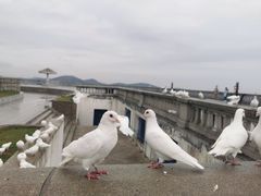 -白玉山景区