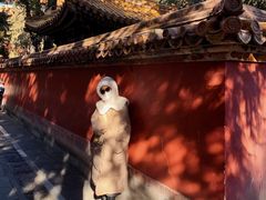 -故宫博物院(故宫)