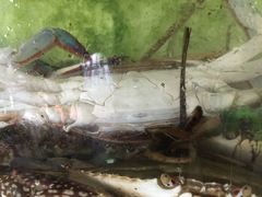 -浪琴湾尾角仔海鲜坊