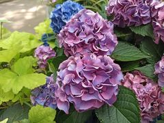 -共青国家森林公园-售票处