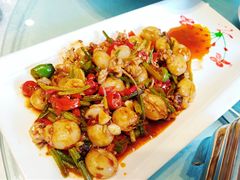 -楚灶王(徐东店)